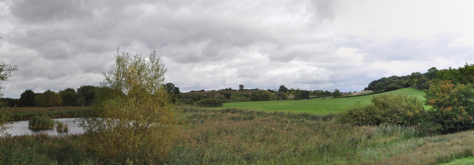 Yew Tree Village