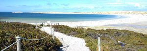 Tourist Shelter and Welfare Facilities - Gypsy Cove