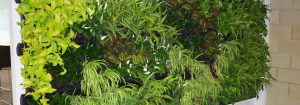 Green wall interior design