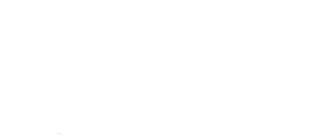 Principal Designer