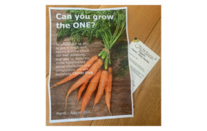 Carrot Competition